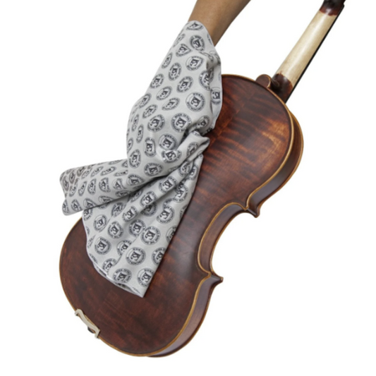 BG A62L Paño grande de limpieza exterior