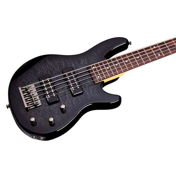 Schecter 2889 Raiden Special-5 STBLK – CASA MUSICAL AMADEUS