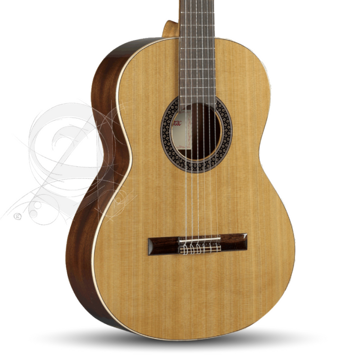 Alhambra 799 Guitarra Acustica 1C HT Hybrid Terra