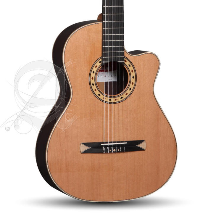 Alhambra 8776 Guitarra Electroacustica CS-3 CW E8