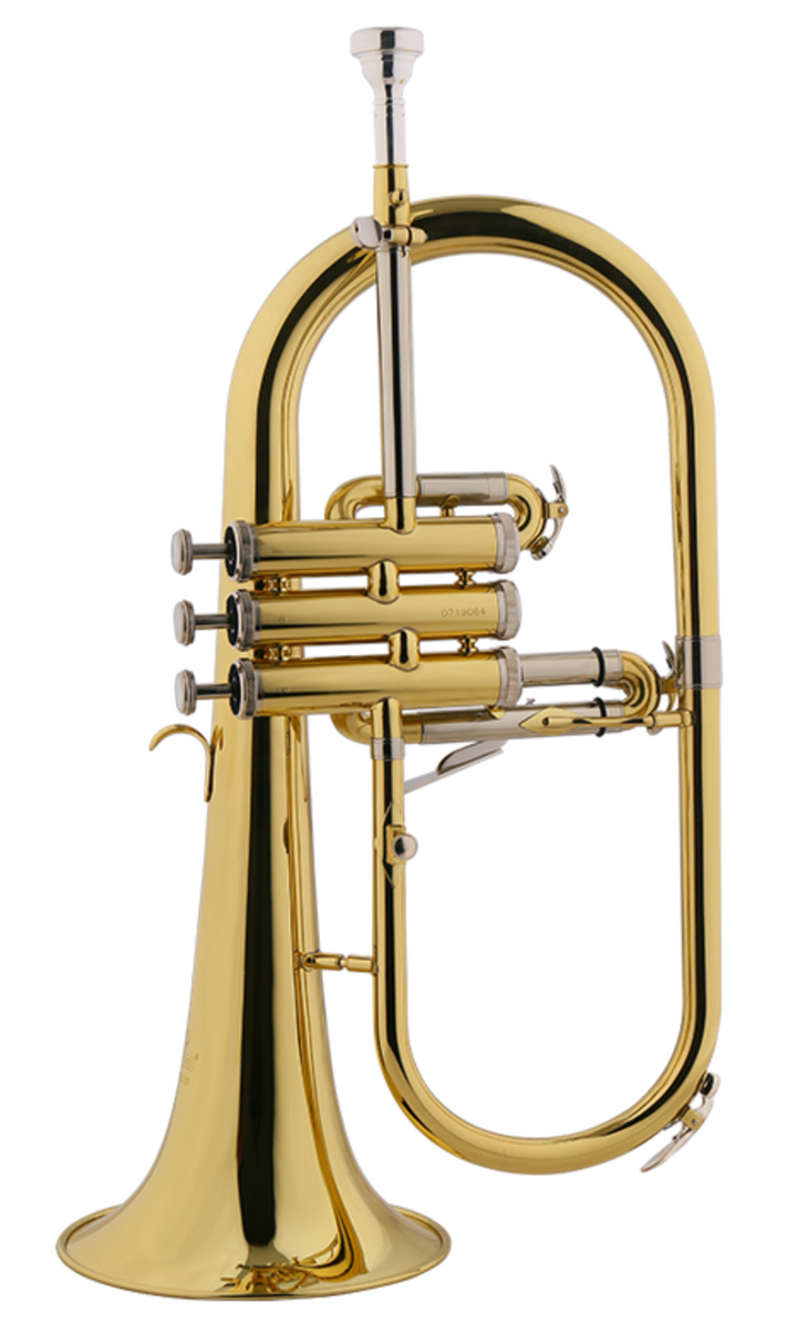 Jinbao JBFH1150GL Fliscorno Sib Gold Lacquer