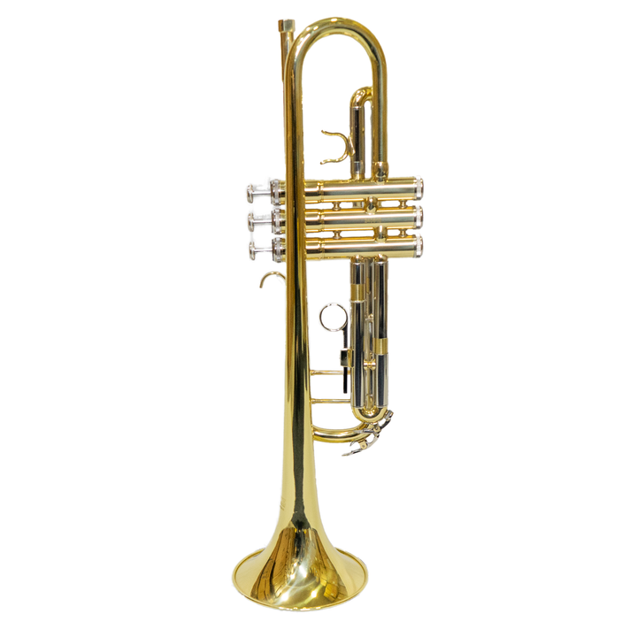 FORTE FTTR-6418QSN-B Trompeta Dorada - doble puente