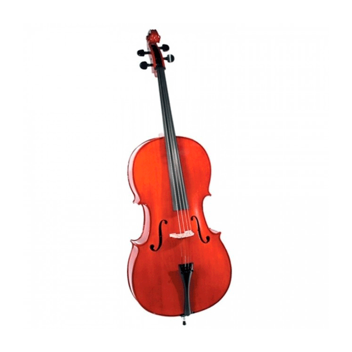 Cervini HC100 1/2 Cello 1/2