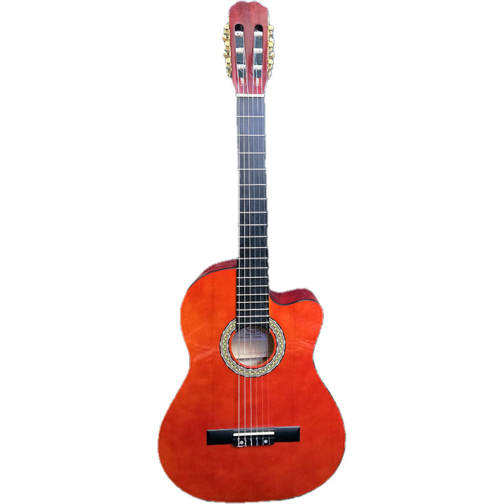 Iberia IGN209CE Guitarra Electroacustica