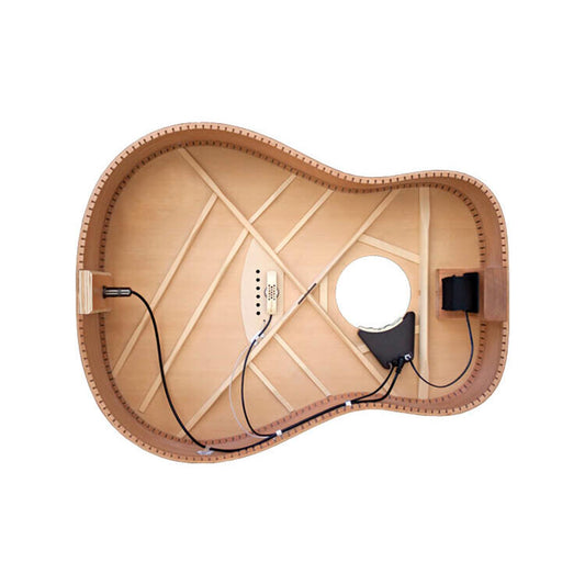 L.R.Baggs Anthem Classical SL pastilla para acustica + microfono