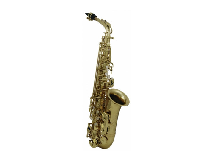 Roy Benson Saxo Alto AS-202 Dorado