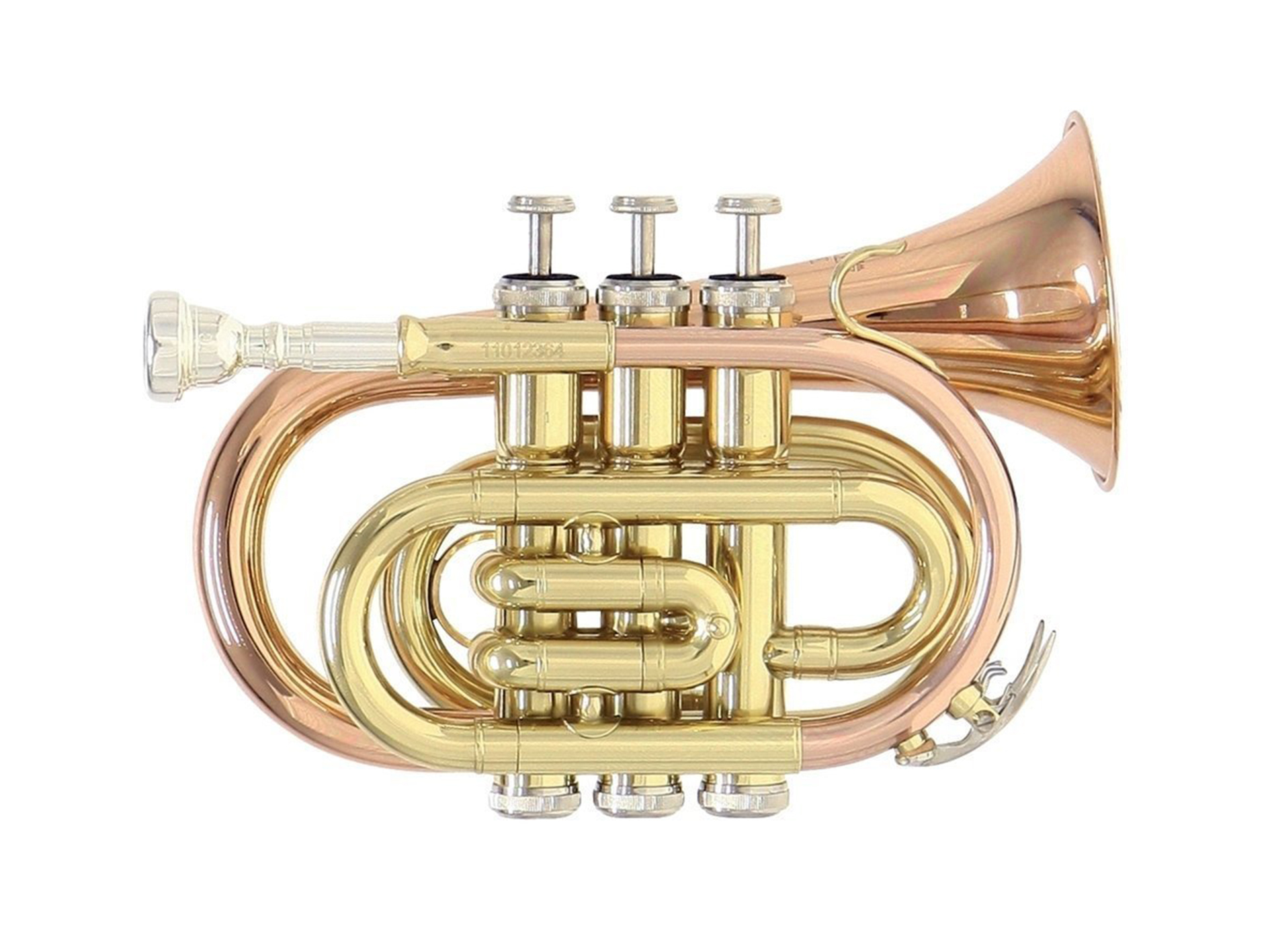 Roy Benson Bb Pocket-Trumpet MOD.PT-101K Black Lacquered Finish, incl.  Light Rectangular case : : Musical Instruments, Stage & Studio
